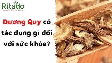 Đương Quy Có Tác Dụng Gì? Lưu Ý Khi Sử Dụng Đương Quy