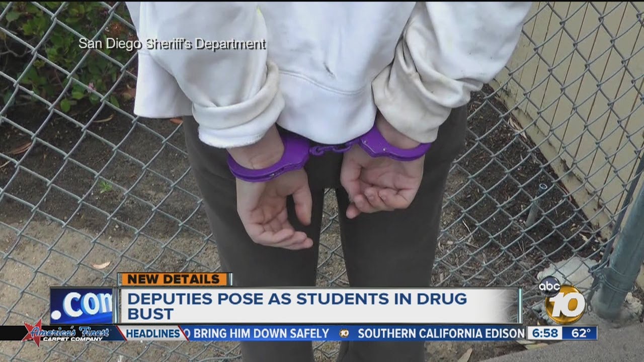Undercover probe of alleged high school drug dealing leads to multiple ...