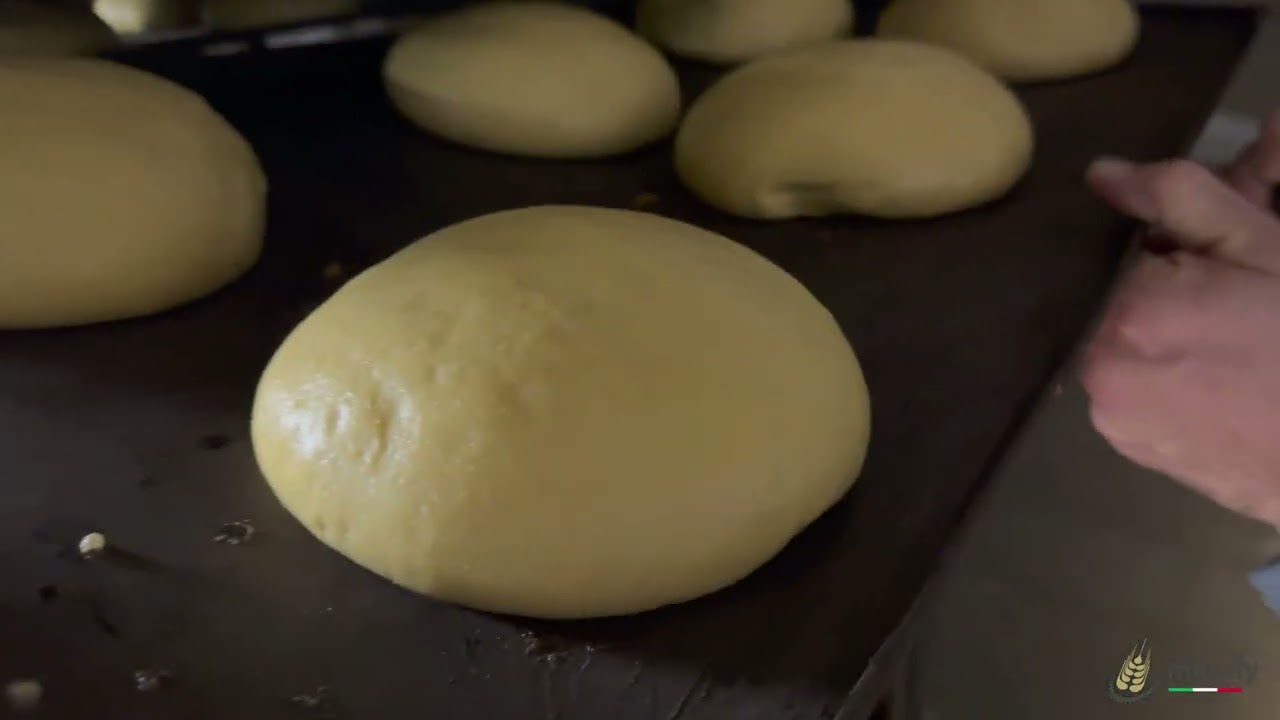 MFITALY - Volumetric dough divider with check weigher for bread pizza or panettone cakes pan dulce