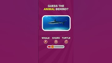 Challange No 229 | Flicktale #riddle #guess #games #puzzles #brainteasers #Challange #whatami