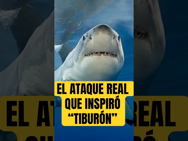 El ATAQUE REAL que inspiró TIBURÓN (Jaws, 1975) #curiosidades