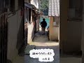 天草 路地裏 好き