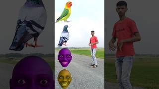 Rounding potato chips to Parrot, Pigeon, Peacock &amp; Duck - Birds names magic video #shorts #viral