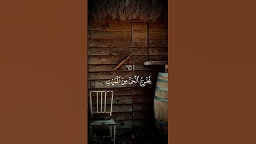 إن الله فالق الحب والنوى يخرج الحي من الميت ومخرج الميت من الحي = سورة الأنعام = #سيد_سعيد #quran