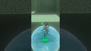 Orbs of Water #zelda #totk #tearsofthekingdom #nintendo #nintendoswitch2 #shorts