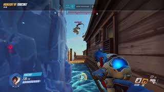 Bronze Widows Carry So Hard