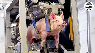 Mind-blowing Machines Operating At An Insane Level | The Most Satisfying Factory Tech! #15