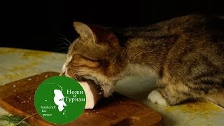 Про Любимое!!!.........Сало)) Про Любимое!!!.........Сало))