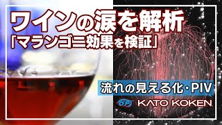 ワインの涙におけるPIV・PTV計測（マランゴニ効果検証）