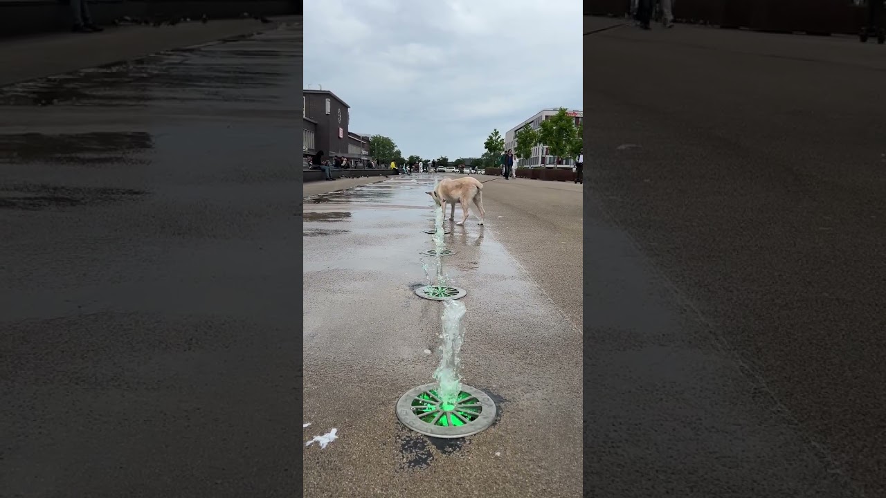 قصتين عن ختم القرآن والصلاة الإبراهيمية 🕊️♥️