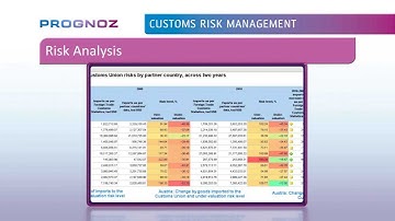 Prognoz Customs Risk Management