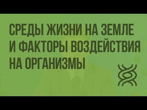 Среды жизни на Земле и экологические факторы воздействия на организмы. Видеоурок по биологии 9 класс