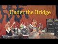 Red Hot Chili Peppers⚜️Under the Bridge⚜️Jazz Fest New Orleans 5/1/22