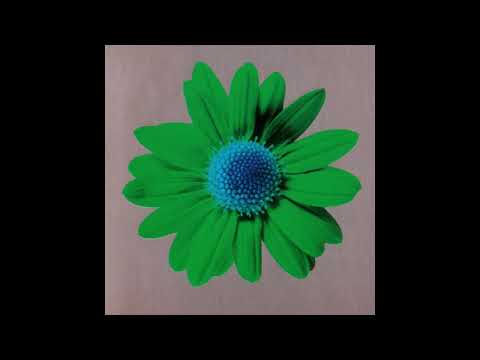 언타이틀( Untitle) - 自殺(자살)