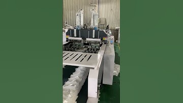 High-Speed Double-Line Vest Bag Making Machine in Action | Efficient & Reliable Production