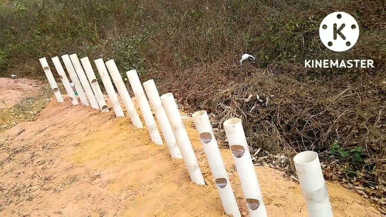 Novo cavalete para colméia de abelha APIS com proteção anti formigas