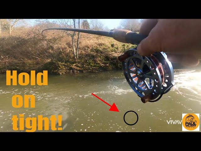 Fishing For Chub On A Centre Pin Reel For The First Time! 