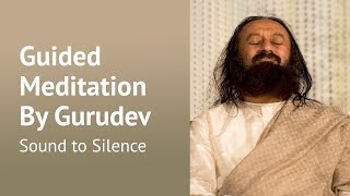 Sound To Silence Guided Meditation   Sri Sri Ravi Shankar