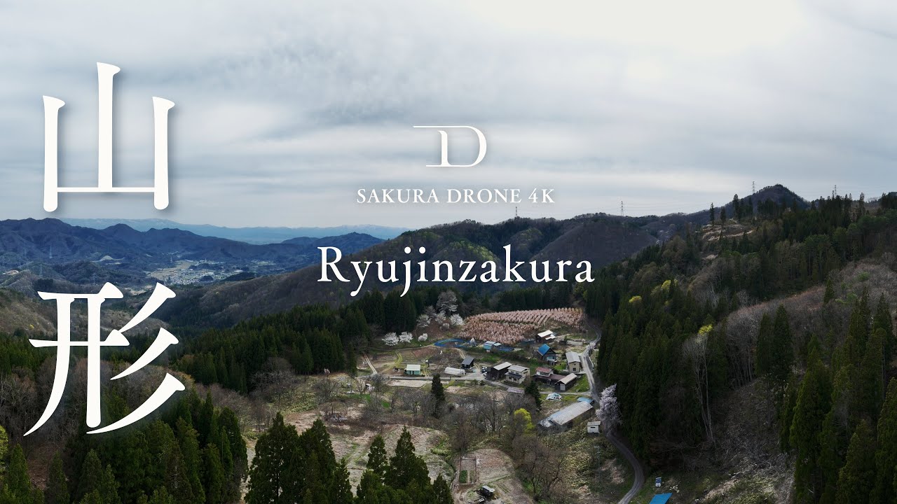 [SAKURA DRONE 4K] 竜神桜（Ryujinzakura）山形県上山市｜桜ドローンプロジェクト2026