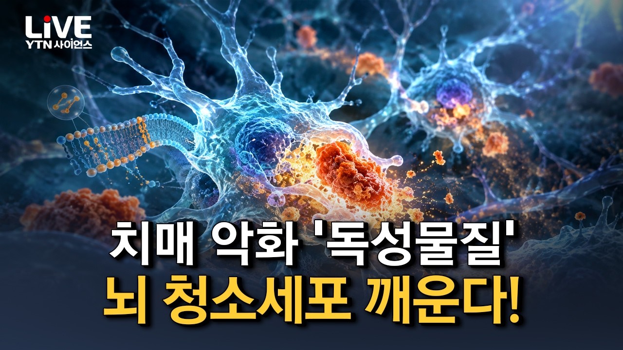 '독'인줄 알았더니 '약'? 치매 악화 '독성물질'의 놀라운 반전! 새로운 뇌 청소 경로 찾았다 [반복재생] / YTN 사이언스
