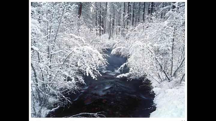 Gary Albertson Photography at Blue Sky Gallery Dra...