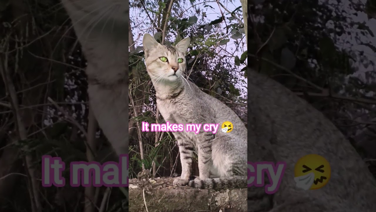 How my doctor LIED to me 😄💪 