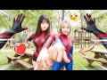 Spider-Man and the Beautiful Girl – A Meeting That Makes Hearts Flutter!