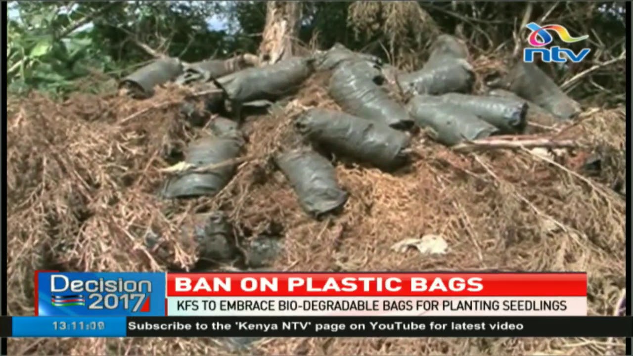 KFS to embrace biodegradable bags for planting seedlings