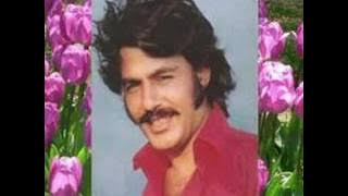 Ferdi TAYFUR-Ben de Özledim