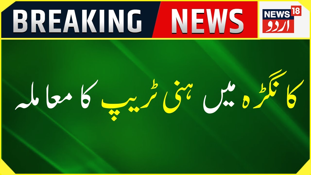 Breaking News: Kangra Mein Honey Trap Ka Mamla Samne Aaya | Himachal News | Shimla | News18 Urdu