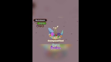 Mushaboom - Magical Sanctum - Composified #msmcomposer #msm