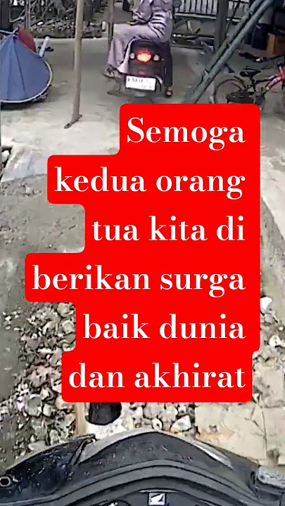 ketapel ikan bekasi