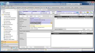 HMIS 5 - Client Profile (Annual Assessment)