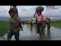 500+ Feared Dead, Boats Missing In Bay Of Bengal: Rohingyas Were Leaving Bangladesh, Myanmar Silent?