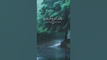 سبح اسم ربك الاعلى ( قران كريم ) #quran