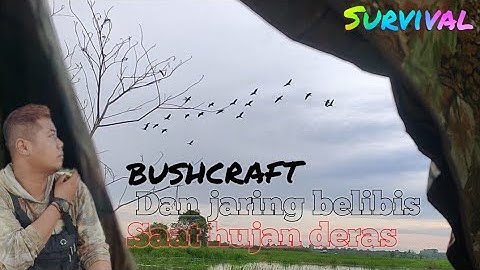 BUSHCRAFT 🔥 CAMPING DAN JARING BELIBIS SAAT HUJAN DERAS ❗ BIRD TRAPPING