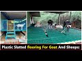 Plastic Slatted Floor For Goat And Sheep Farm Designed Without Welding | High-Tech Low Investment: