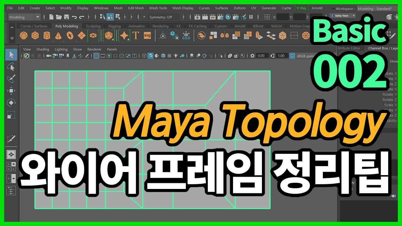 Maya 와이어프레임 정리팁 Topology Basic 002