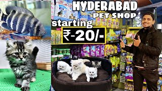 Pet Shop in Hyderabad | Rs - 20/- | 🔥😱 | Dog | Persian cat | Birds | MushiTube lifestyle