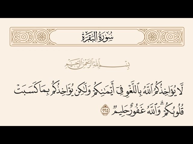 ⁣آيات الأحكام شرح الآية:{لَّا يُؤَاخِذُكُمُ اللَّهُ بِاللَّغْوِ فِي أَيْمَانِكُمْ}-السيد صباح شبر