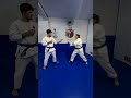 Chutes karate Tobi Hiza Geri - kicks # #gojukai #kicks #martialarts #iogkf #mma #karatekicks Mp3 Song