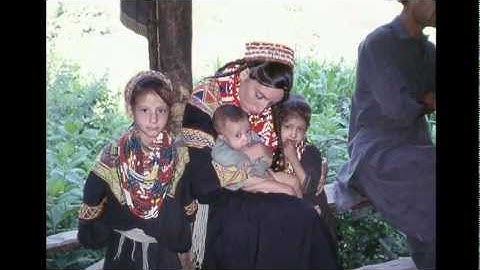 Participant/Observation - by Wynne Maggi