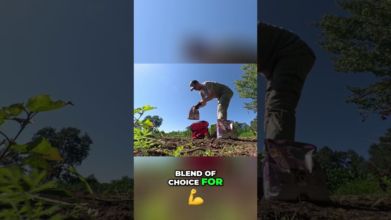 Food Plot Finale