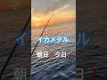 イカ#釣り #shorts #ショート#旅行 #イカメタル