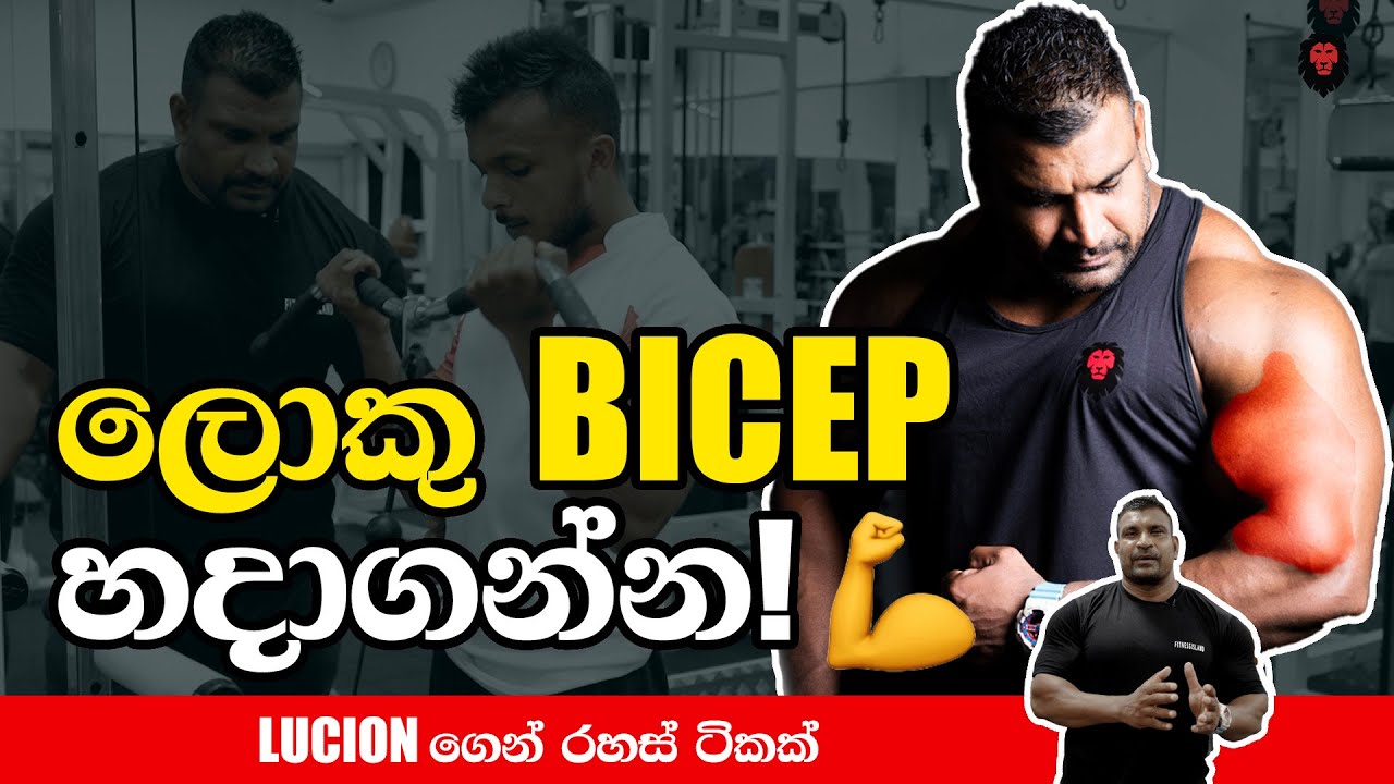 ලොකු Biceps හදන හරිම විදිය ගැන ලුශන් පුශ්පරාජ් කියලා දෙයි! (Bicep workout with Lucion)