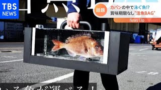 「フードロス」活魚運べますバッグが話題