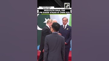 PM Modi, Russia’s Putin walk, Pakistan’s PM Sharif stalks at SCO Summit in Tianjin, China