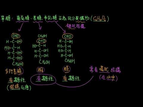 3-6.1醣類76_單醣的鏈狀與環狀結構