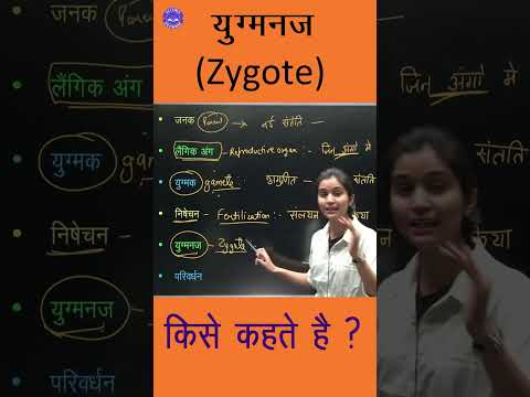 वीडियो: युग्मनज में कितनी कोशिकाएँ होती हैं?