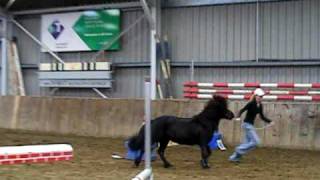 Springen Aan De Hand Diëlle En Zorro